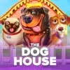 The Dog House