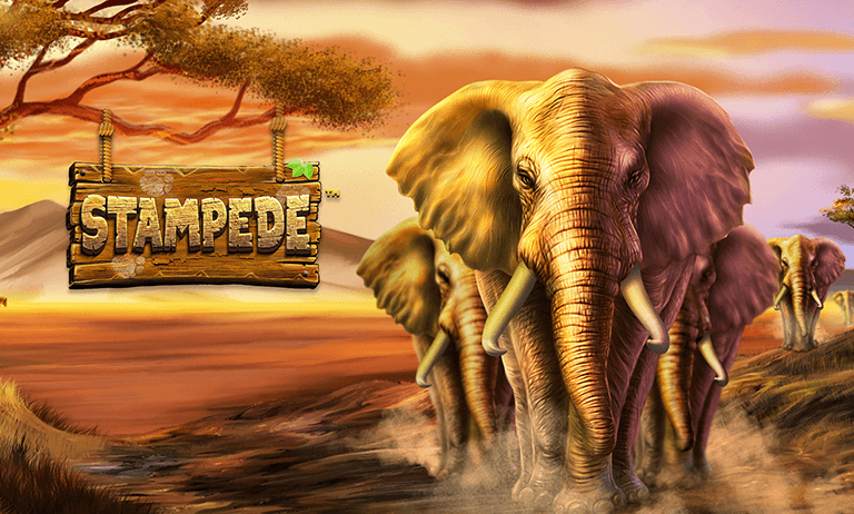 Stampede Slot