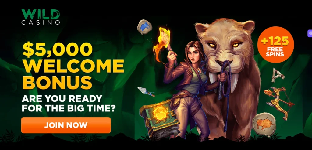 Wild Casino Welcome Free Spins