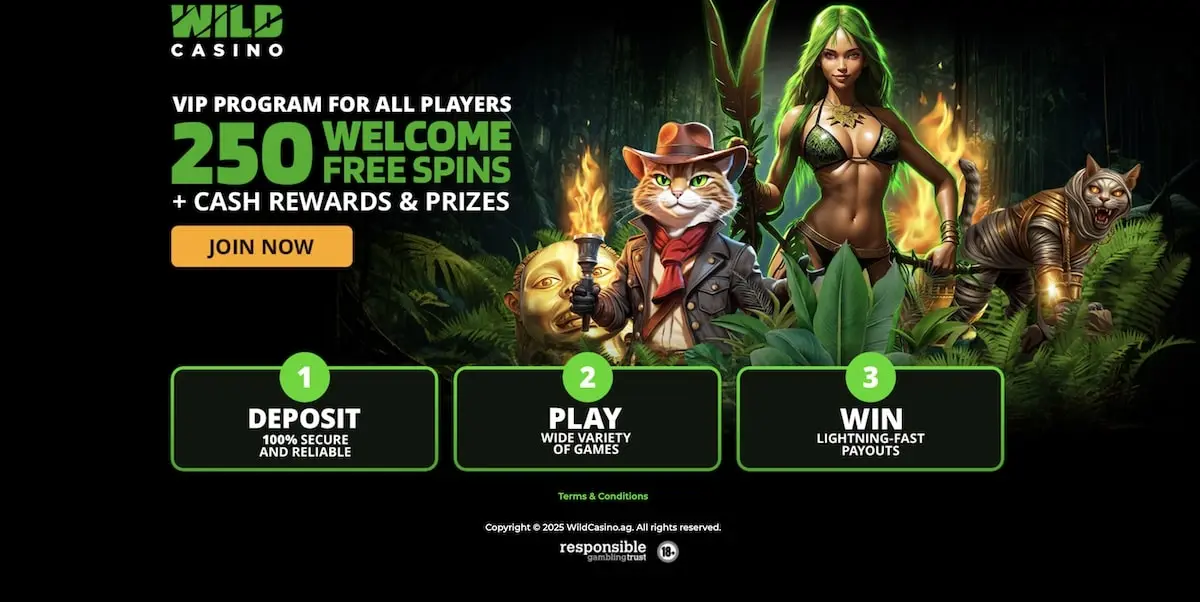 Claim 250 Free Spins 250 free spins welcome bonus at Wild Casino