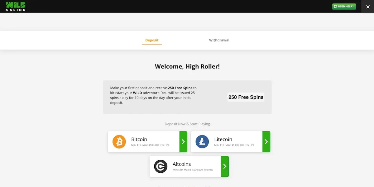 Make a deposit Wild casino deposit section screenshot